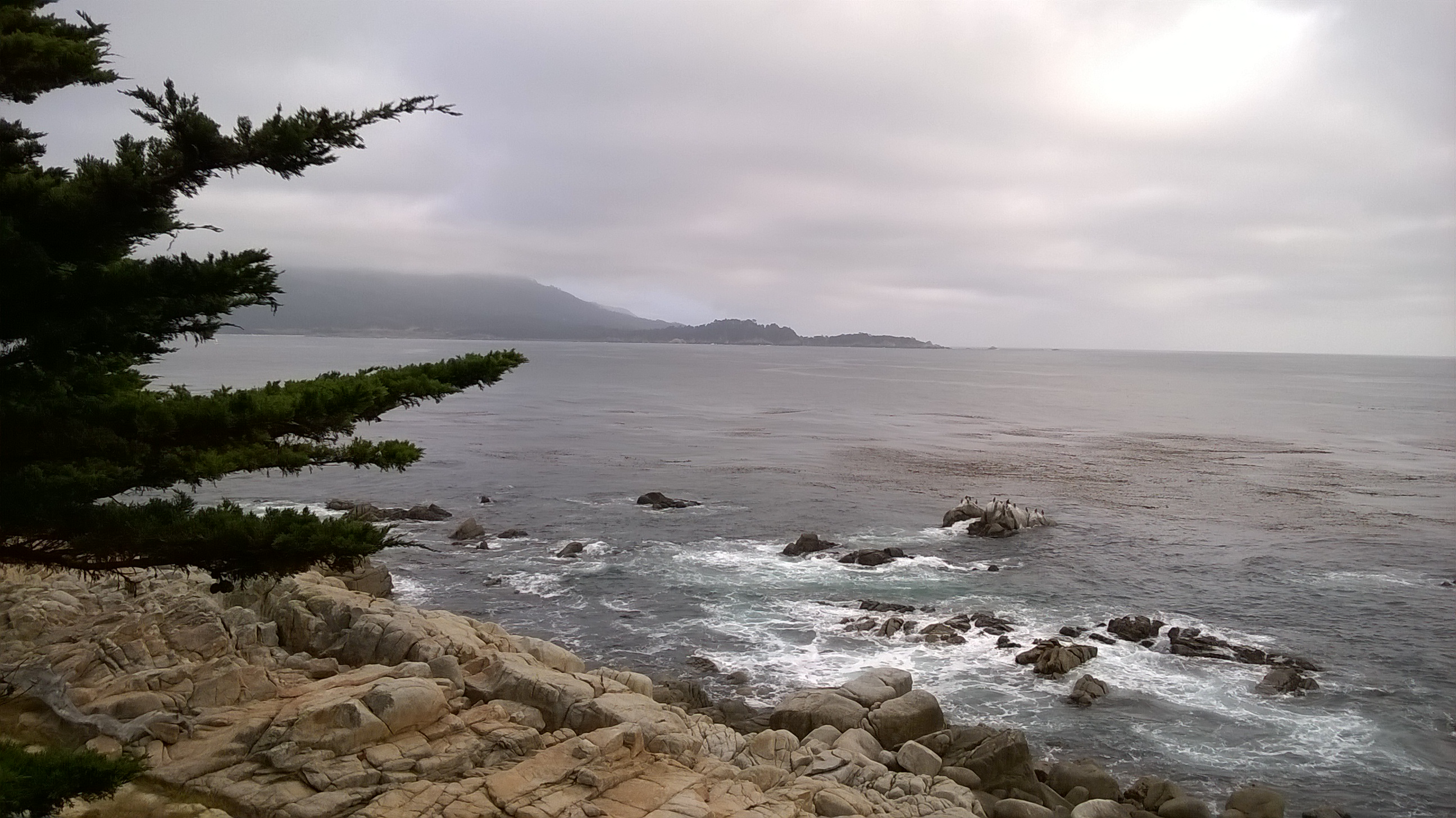 Carmel Beach and the Pacific coastline in Carmel-by-the-Sea