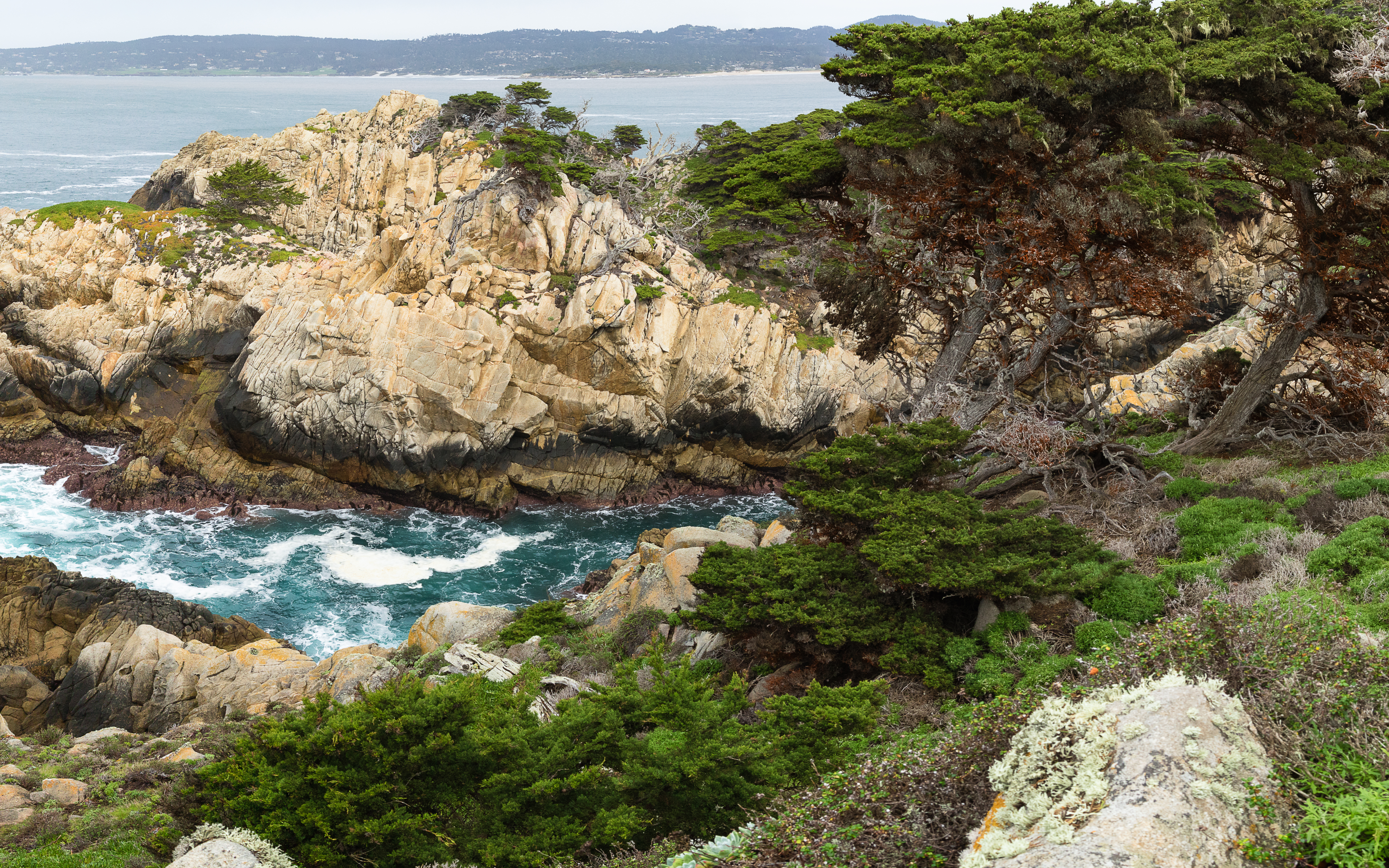 Rocky coastline at Point Lobos State Natural Reserve
